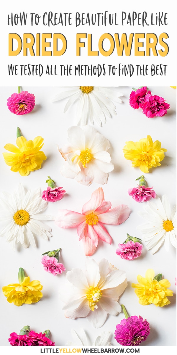 How to Dry Flowers We Tested 5 Different Methods to Find the Best!