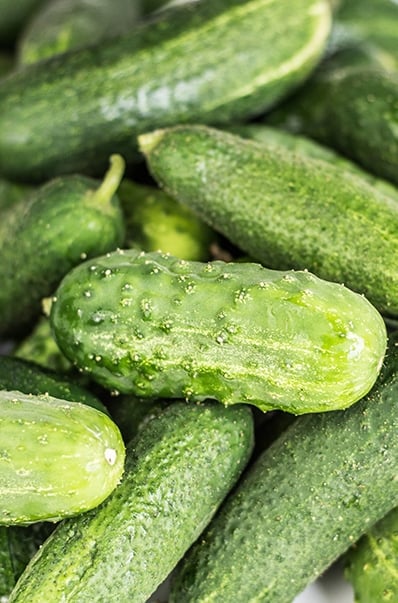 baby cucumbers from the garden