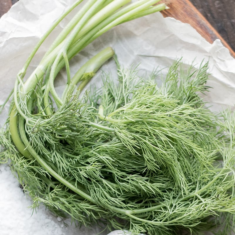sprigs of fresh dill