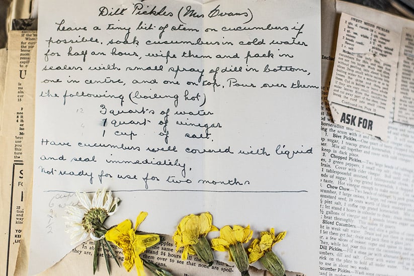 Mrs. Evans' homemade dill pickle recipe