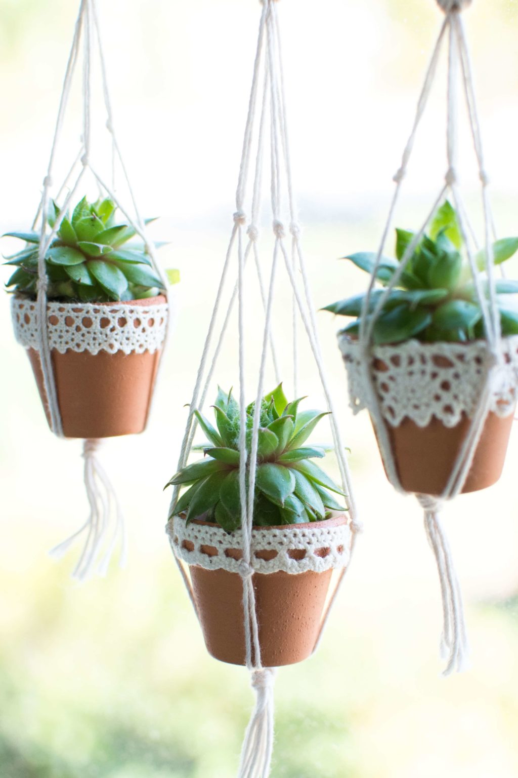 Mini Succulent Pots you can Make in a Snap