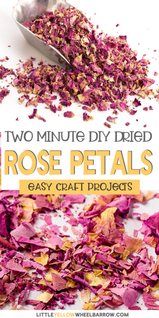 How to Dry Rose Petals In Under Two Minutes Flat