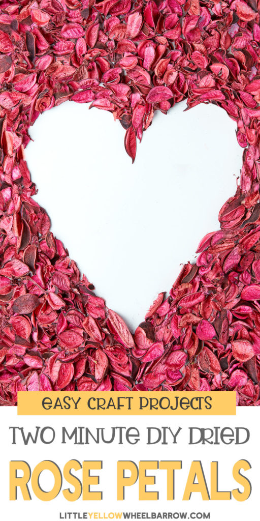 How to Dry Rose Petals In Under Two Minutes Flat