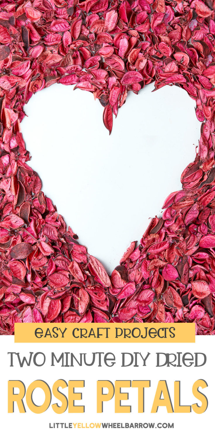 How to Dry Rose Petals In Under Two Minutes Flat