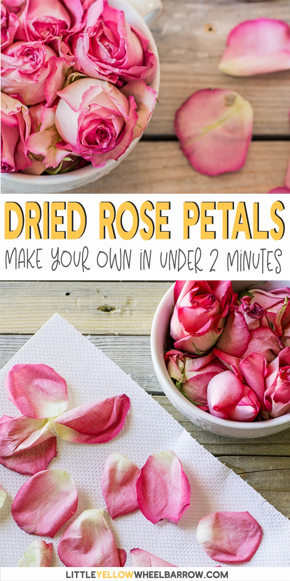 How To Dry Rose Petals change comin