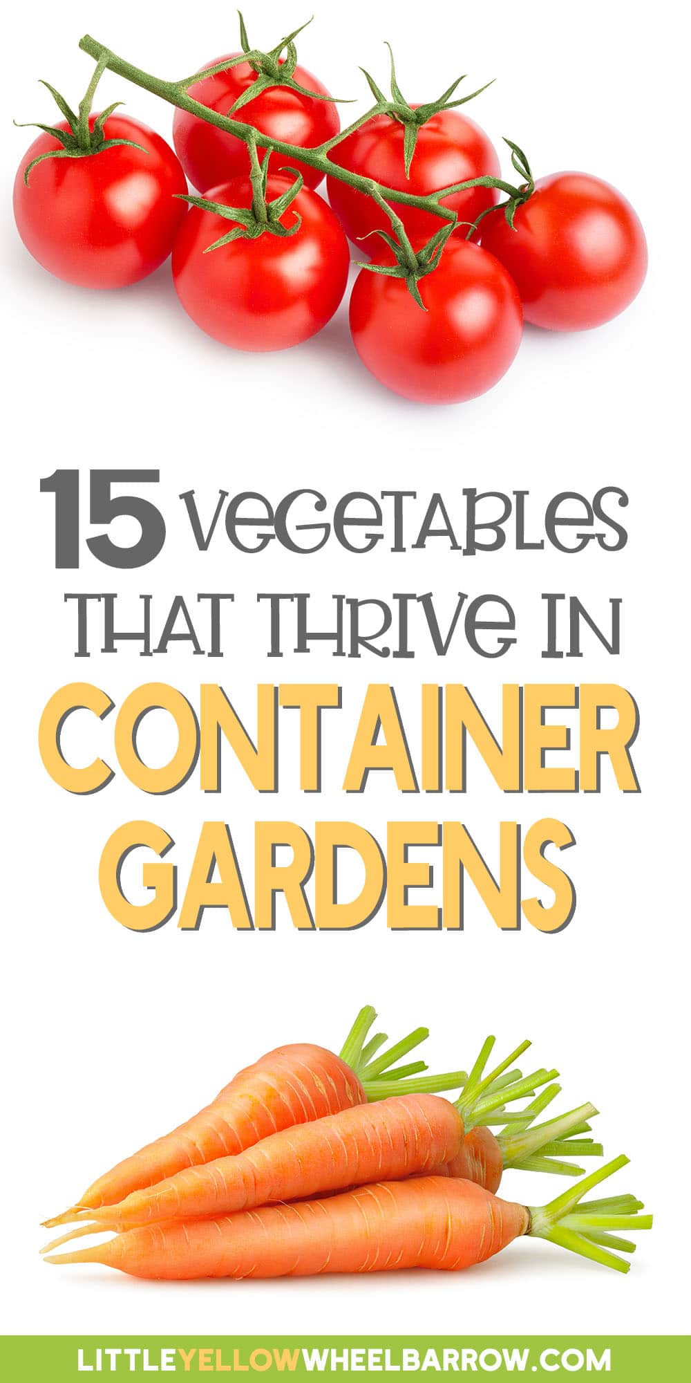 Vegetable Container Gardening: 15 Veggies to Grow in Pots