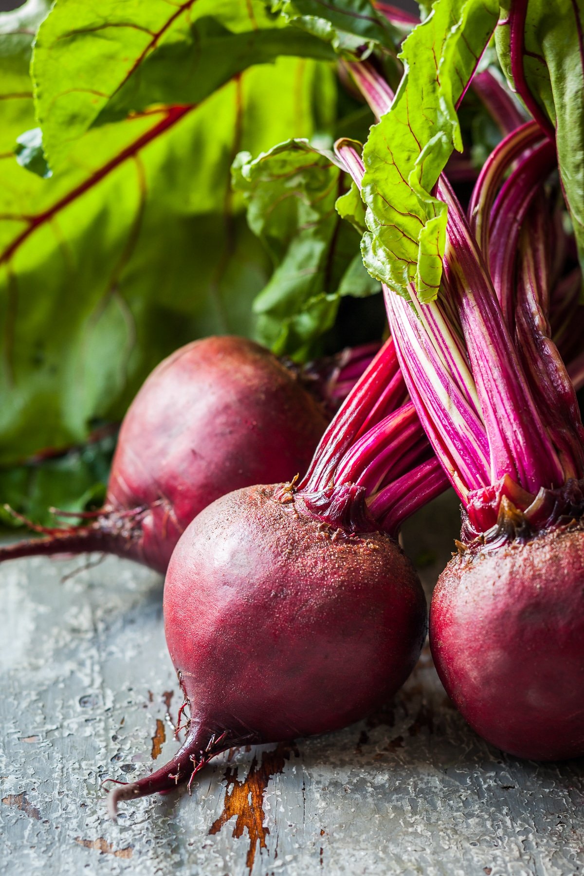 Deep read beets with their bright green tops freshly picked from a summer vegetable garden