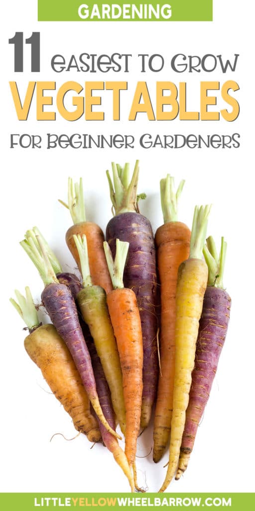 11 Easy Vegetables To Grow For Beginners That Will Produce All Summer Long Easy Vegetables To Grow For Beginners, Garden Vegetables List