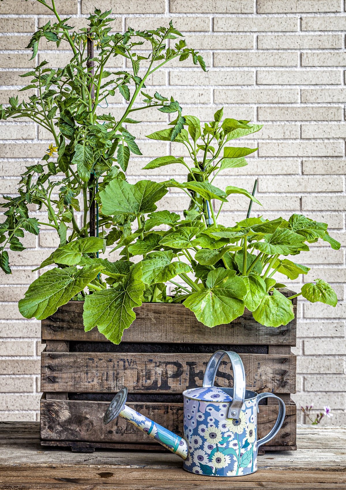 Vegetable Container Gardening 15 Veggies to Grow in Pots