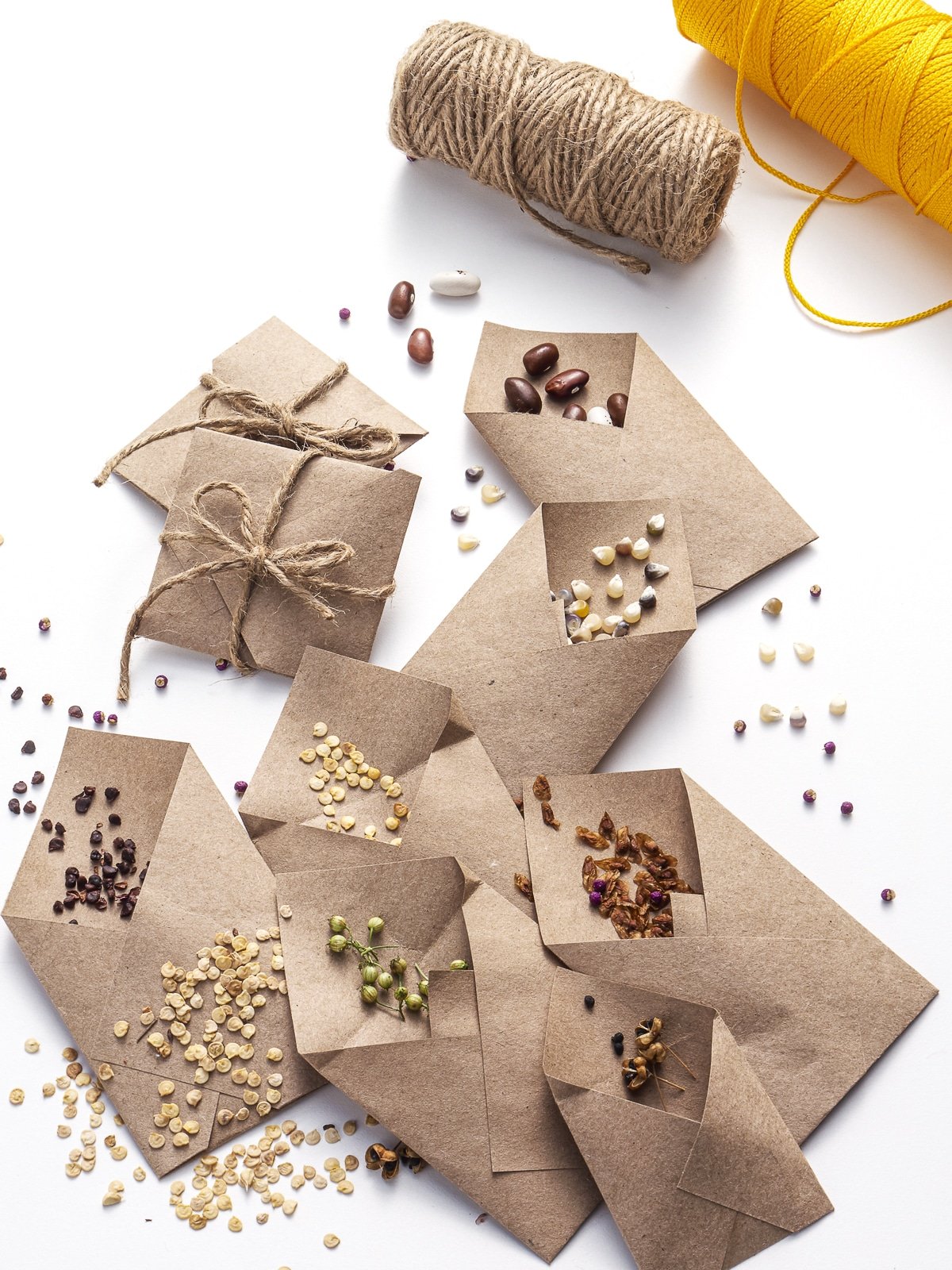 Kraft paper seed packets open on a bright white table with seeds scattered all around.