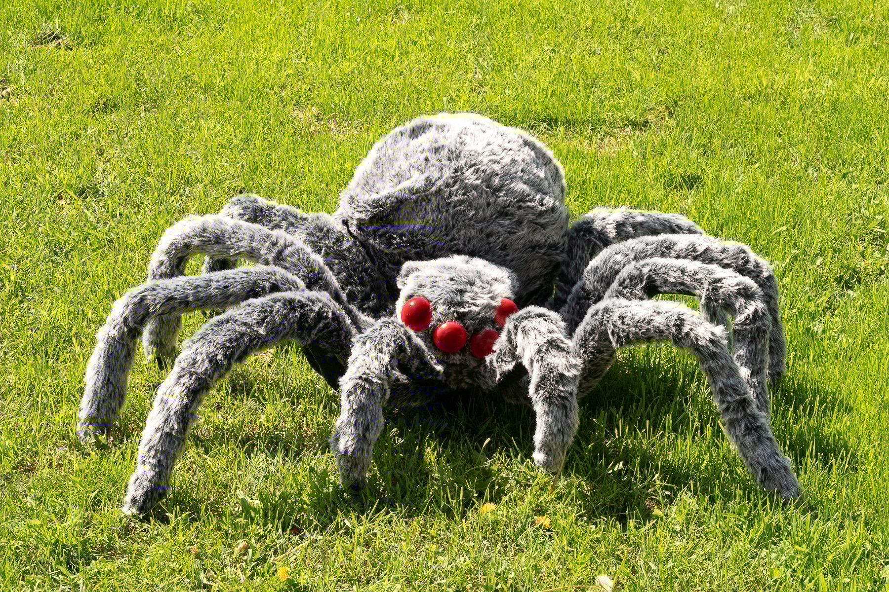 DIY Giant Halloween Spider Decoration to Scare Your Neighbours