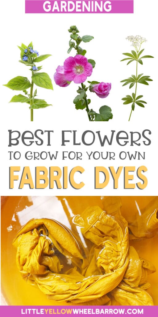 Natural Dye from Flowers A Dye Garden Plant List