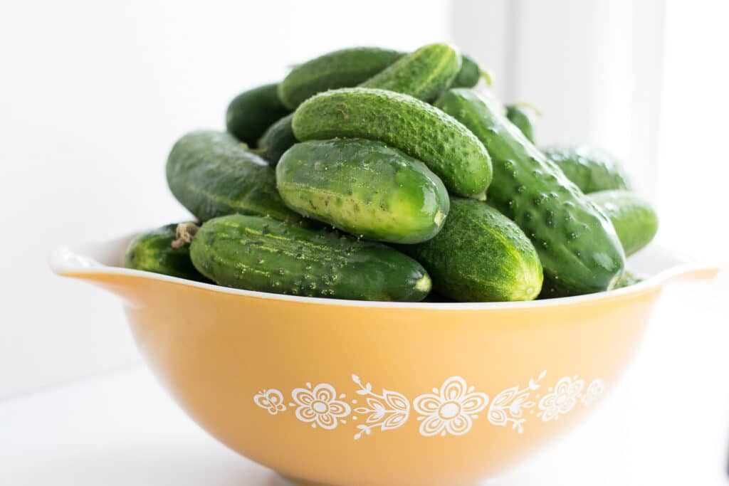Have Too Many Cucumbers? Here's What To Do With Extra Cucumbers!