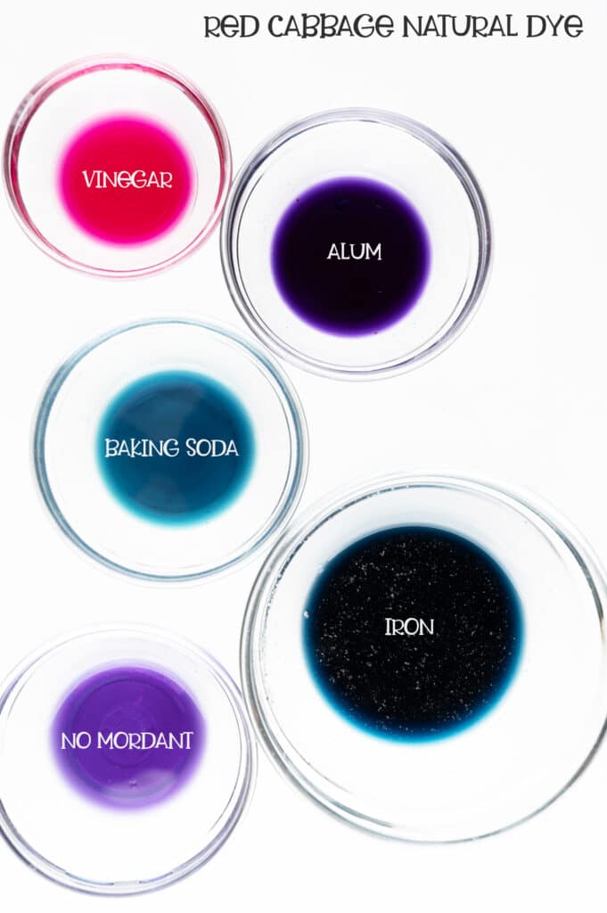 Mordants for Natural Dyes What You Need to Know