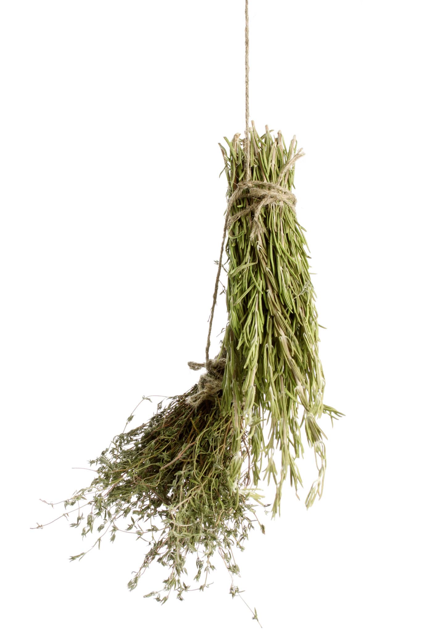 Dried herbs, isolated on a white background.