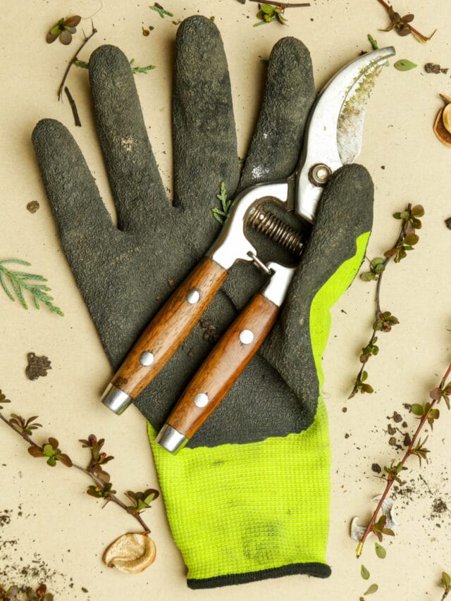 The Best Gardening Tools For Every Beginner Gardener