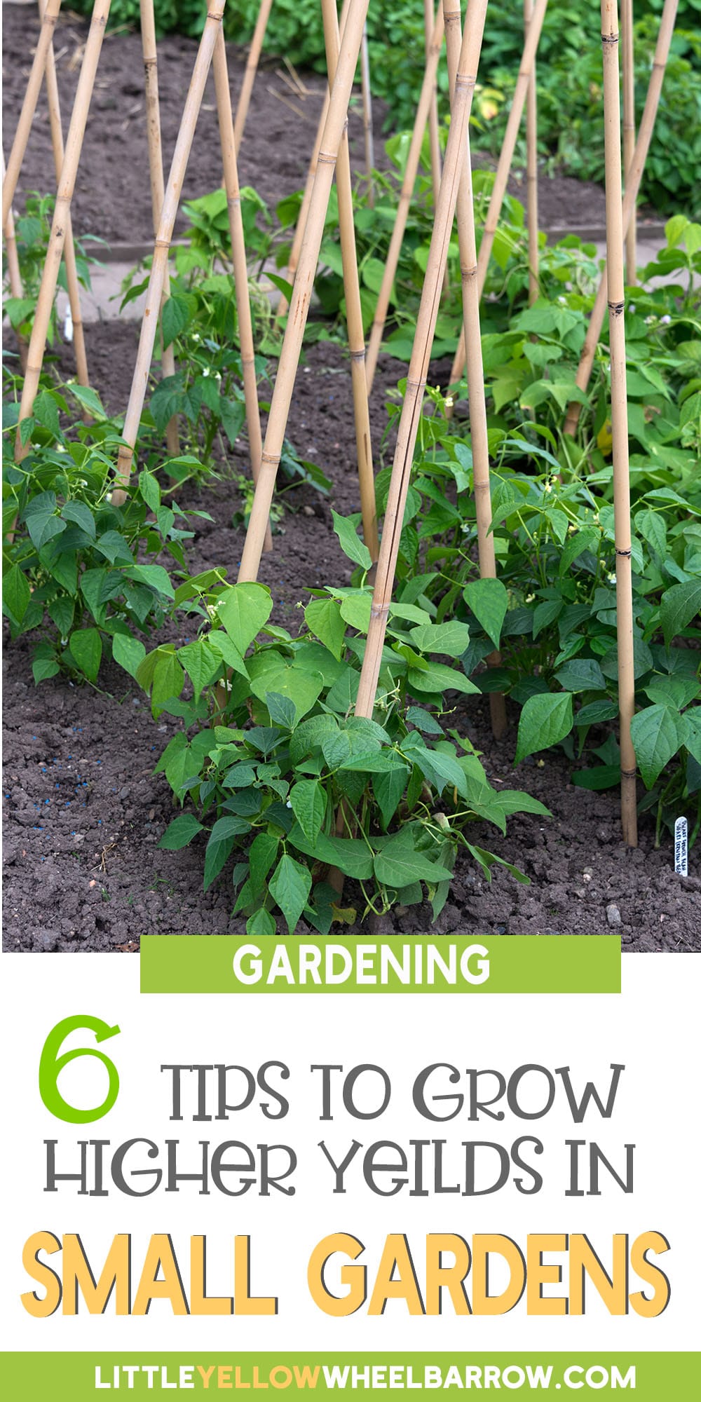 6 Garden Ideas for Small Spaces and Maximum Yields