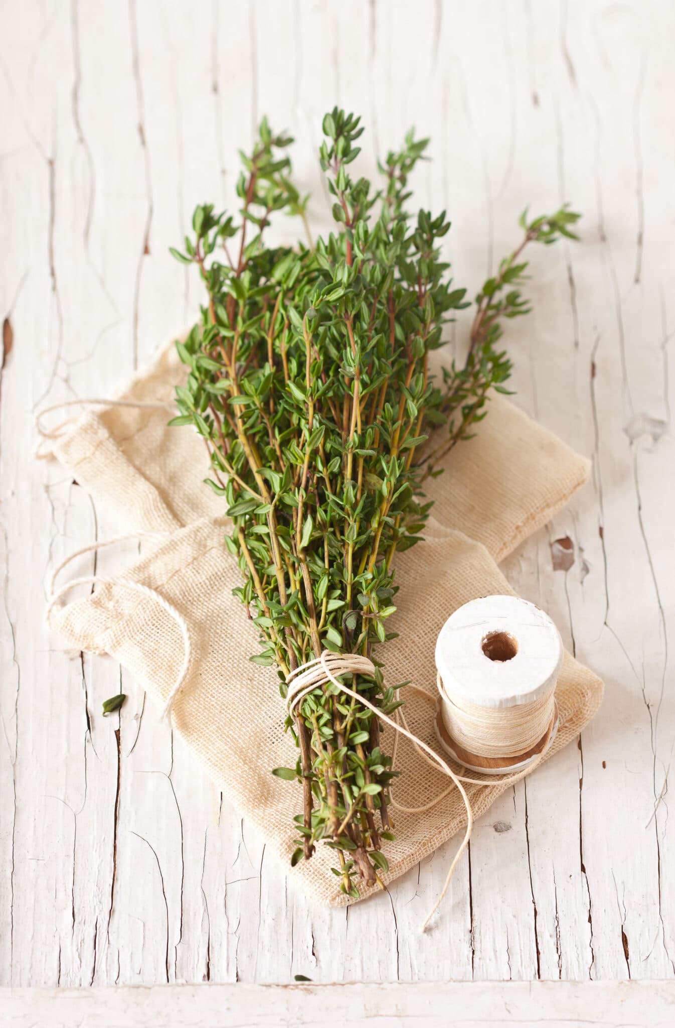 Bunch fresh thyme on an old wooden board tied with rustic string. 