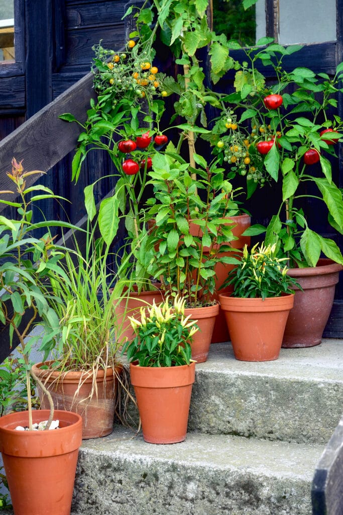 11 Garden Ideas for Small Spaces and Maximum Yields