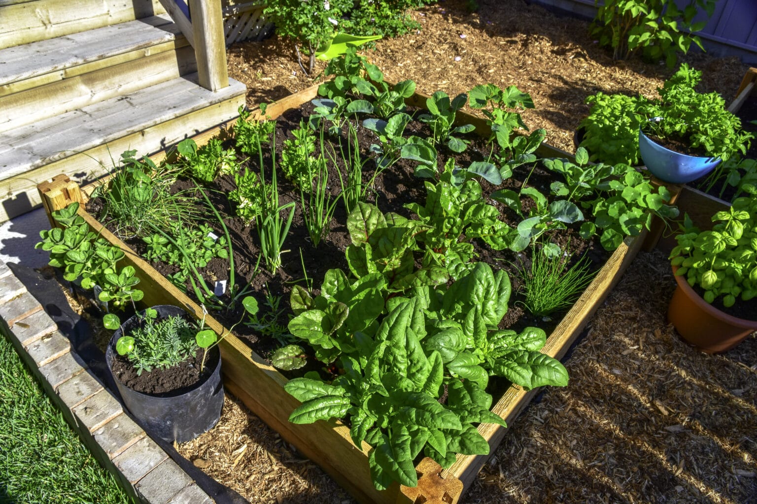 11 Garden Ideas for Small Spaces and Maximum Yields