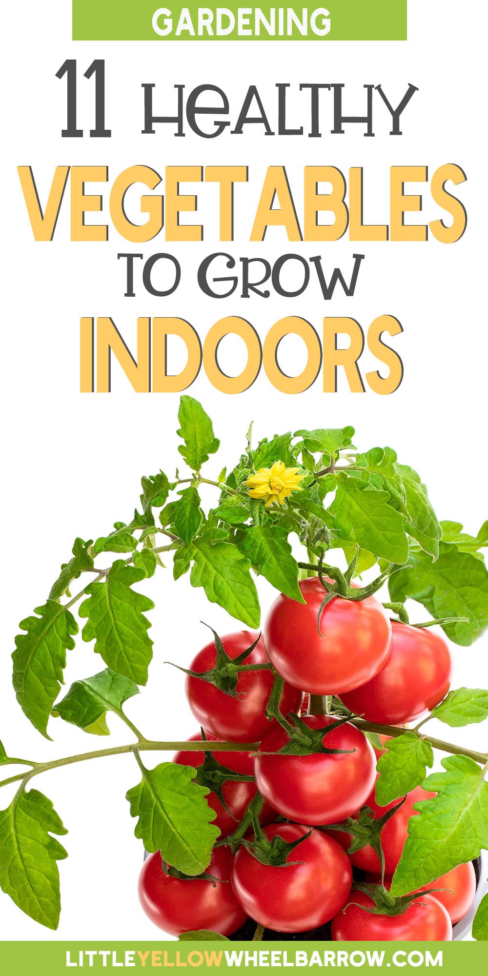 11 Of The Best Vegetables To Grow Indoors (2022)