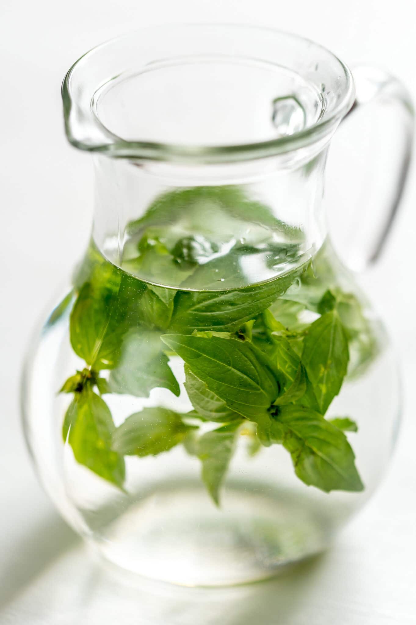 A clear water jug filled with fresh water and springs of fresh basil against a bright white background. 