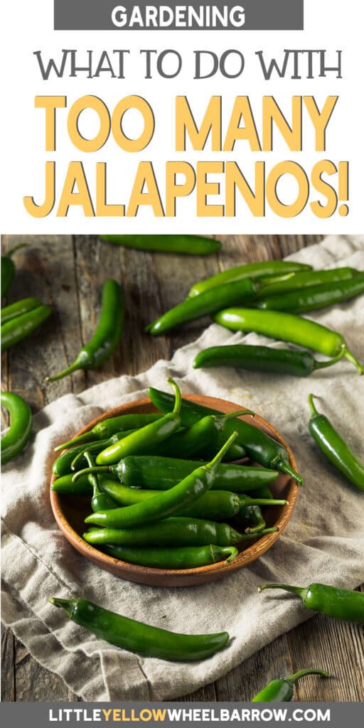 Have Too Many Jalapeños? Here's What To Do With Extra Jalapeños!