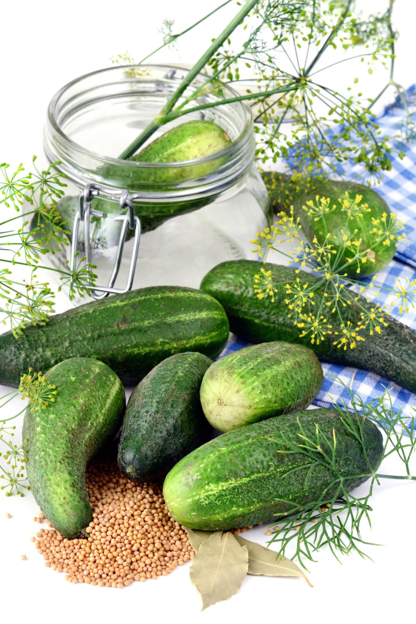canning cucumber in a jar with spices like dill