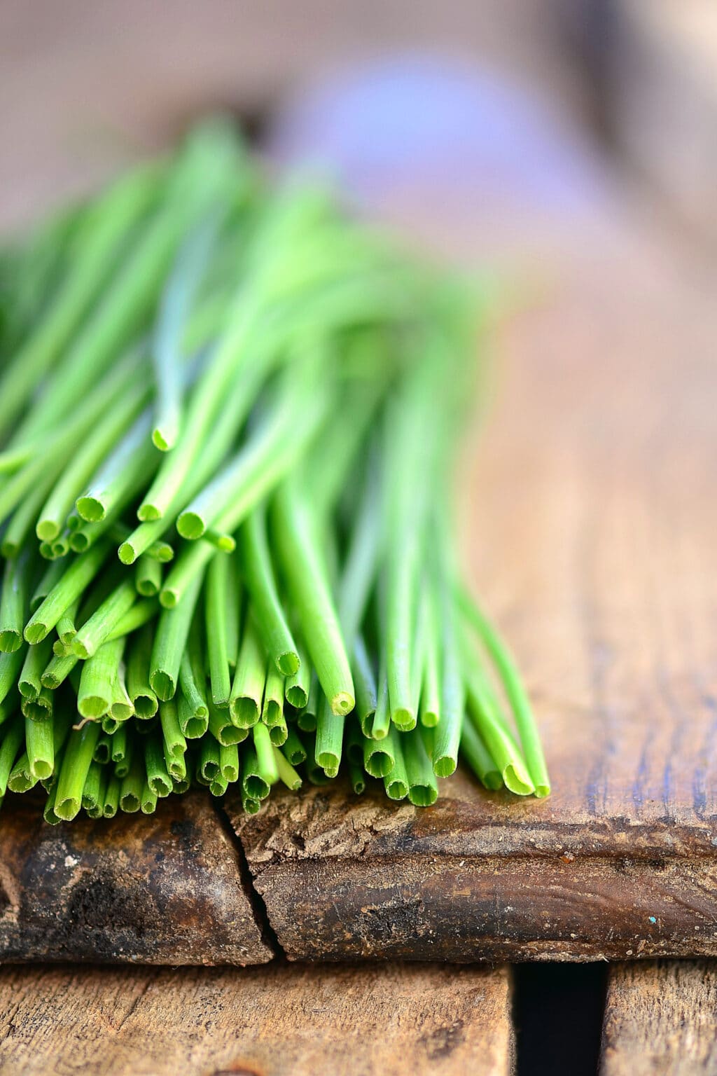 Chive Plant How To Grow, Harvest & Use Them