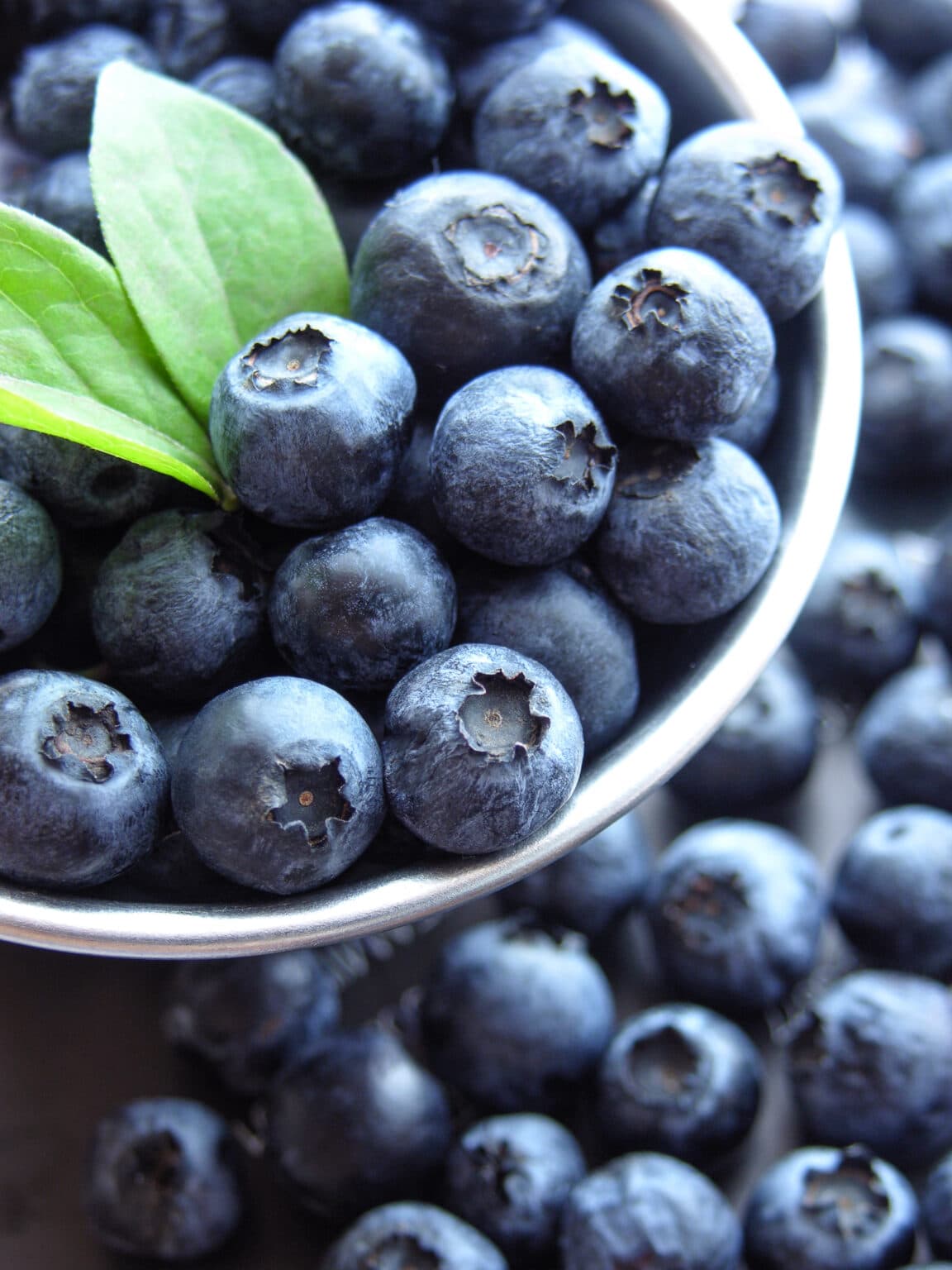 How to Grow Blueberries in Containers Everything You Should Know! (2022)