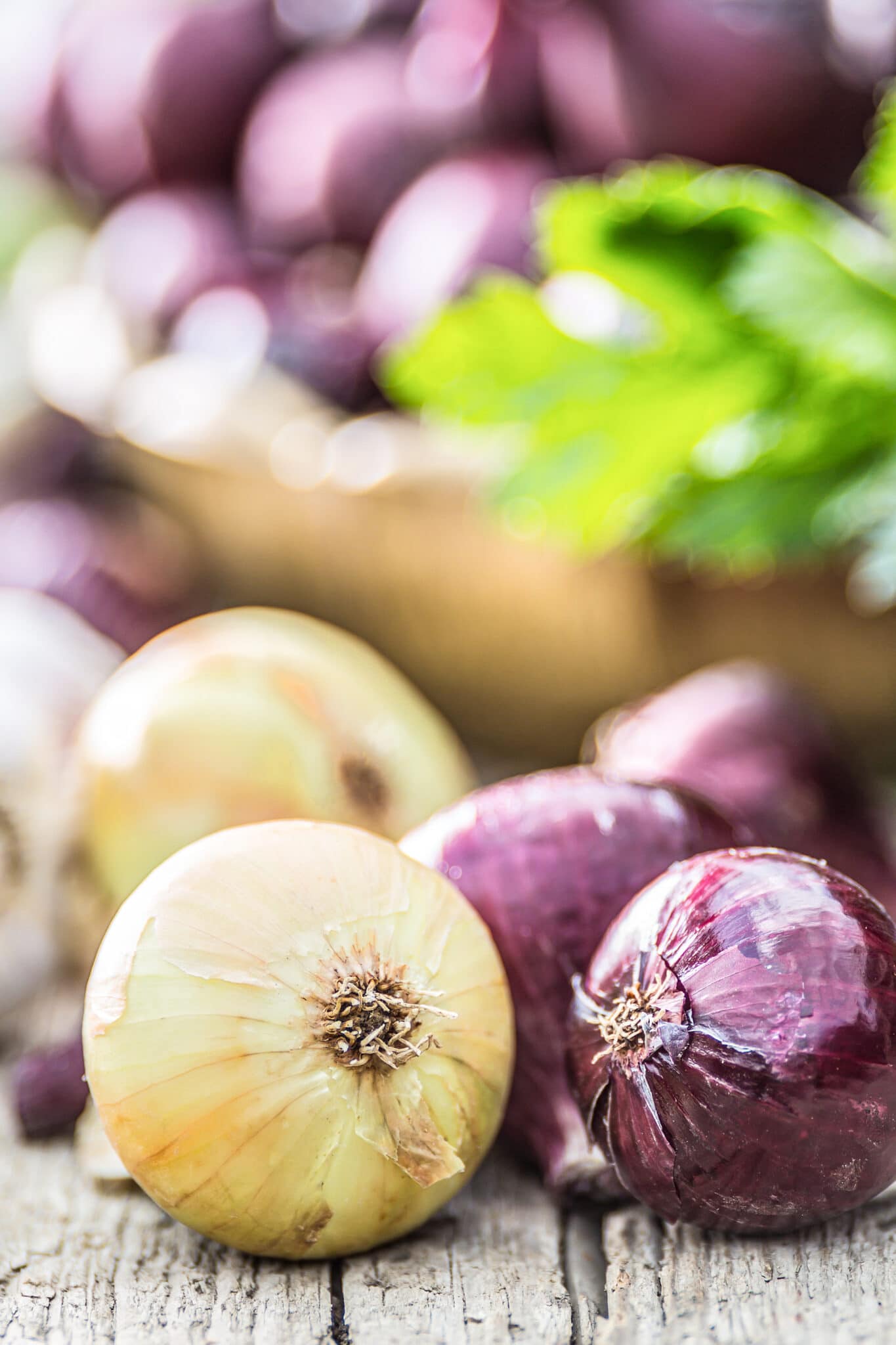Freshly harvested red and yellow onions on a rustic outdoor wooden table.