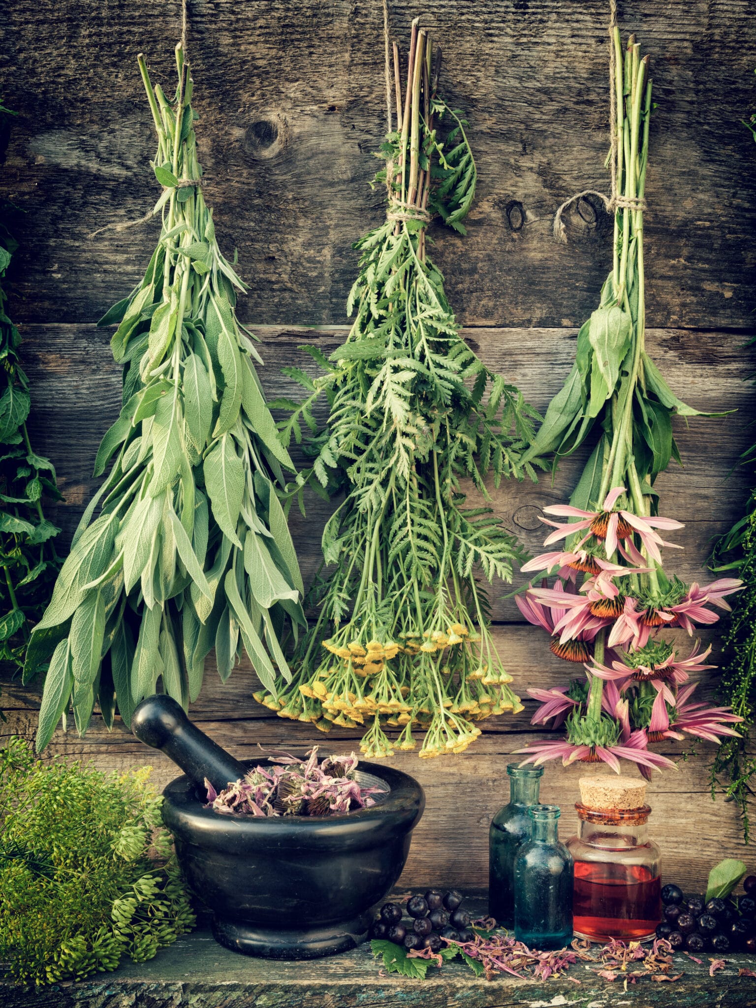 Rustic wooden wall and table with fresh herbs from the garden hanging with twine. Below there are jars and bowls.