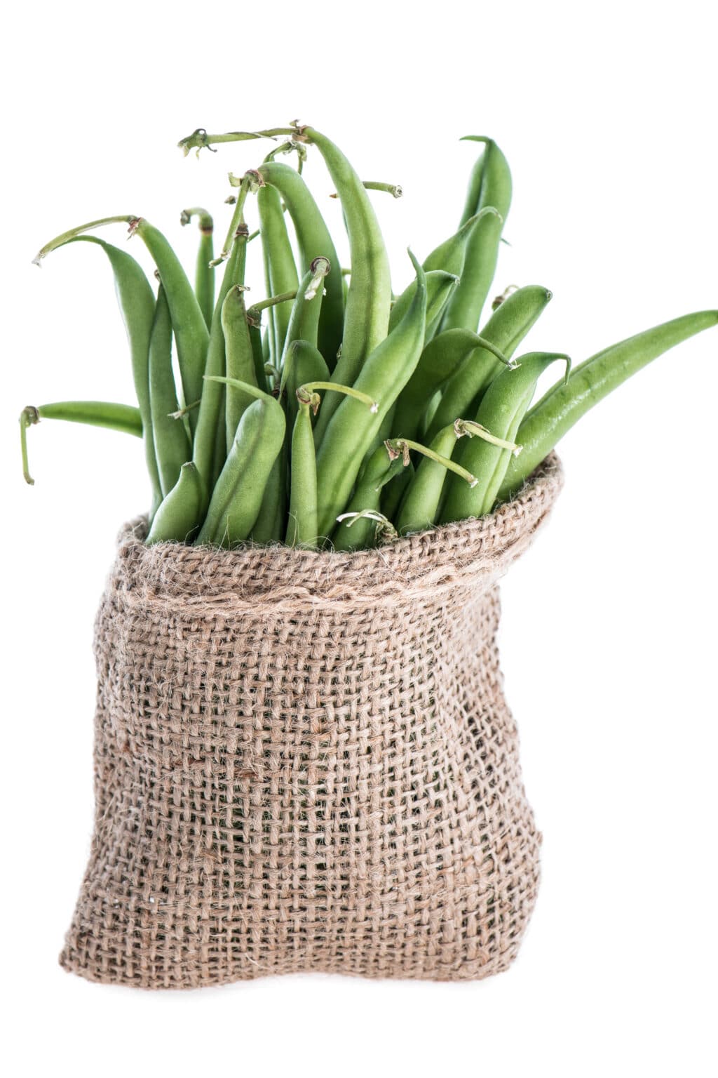 How to Grow Green Beans in Containers It's Easy!