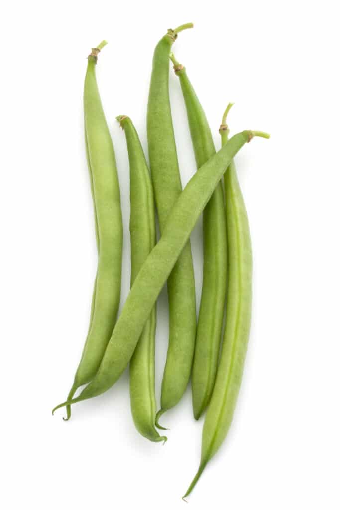 How to Grow Green Beans in Containers It's Easy!