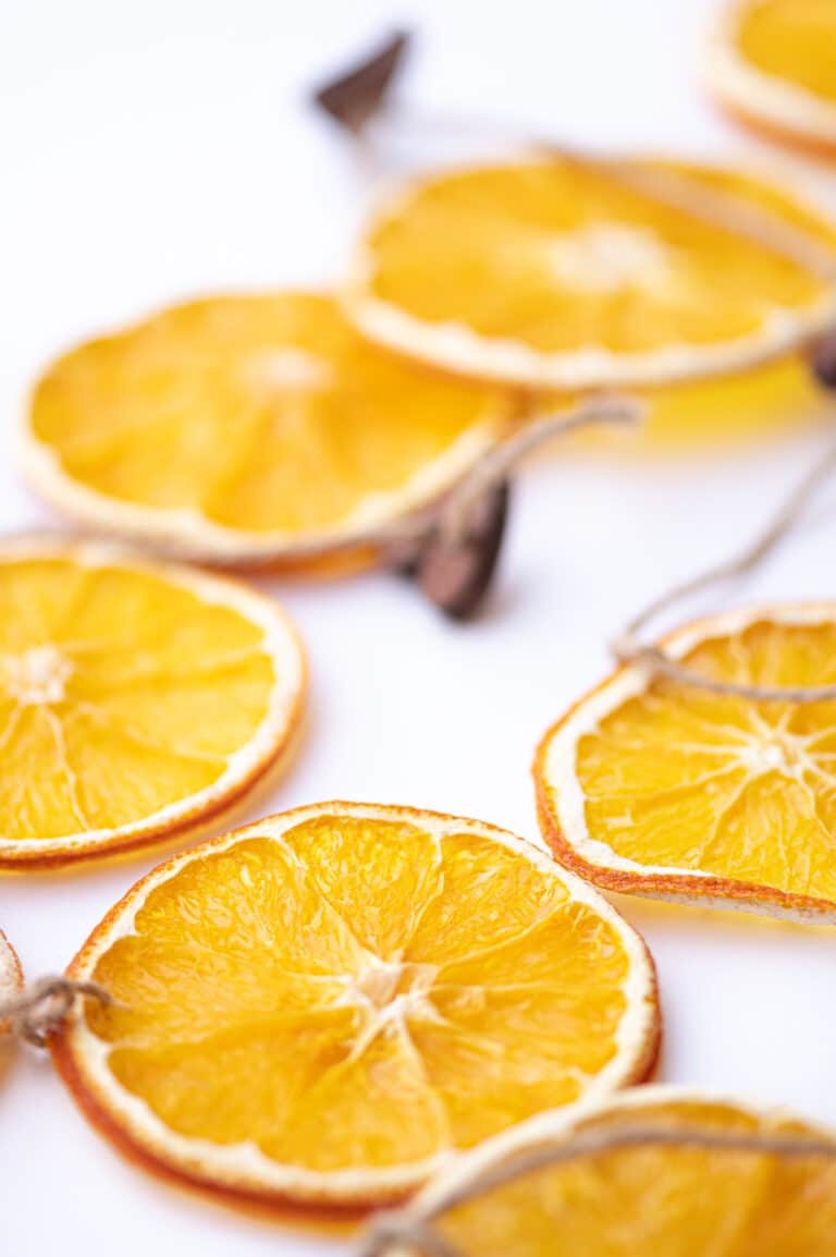 Easy Dried Orange Garland For Your Holiday Tree!