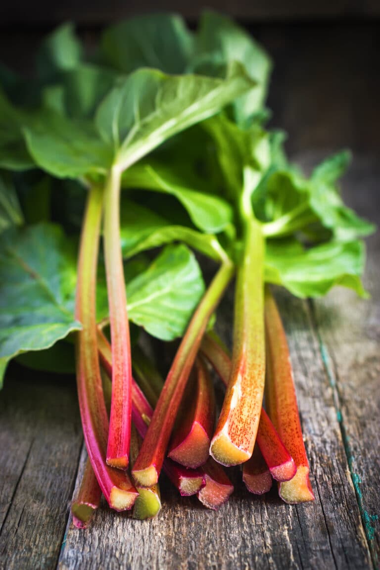 How to Grow Rhubarb – Big Healthy Harvest Guide