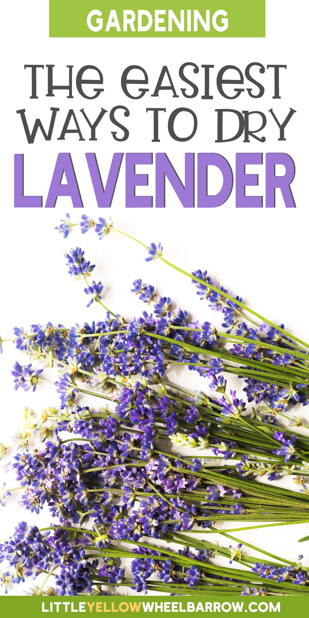 How To Dry Lavender (Preserving Methods And Tips)