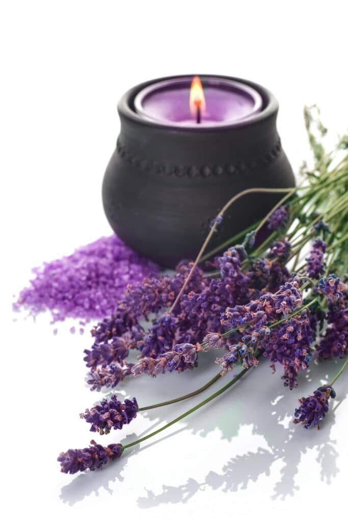 Lavender candle in a black pot belly candle holder surrounded by fresh sprigs of bright violet lavender.