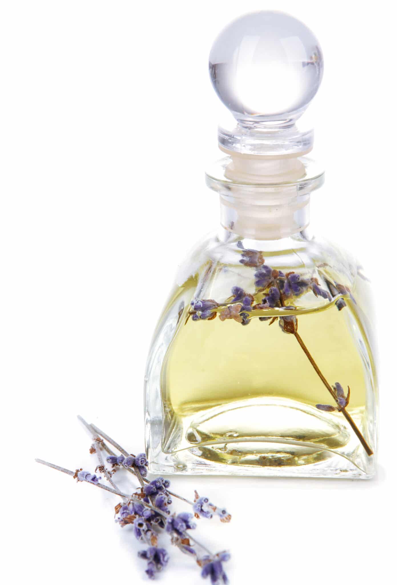 Lavender oil with flowers, isolated on white
