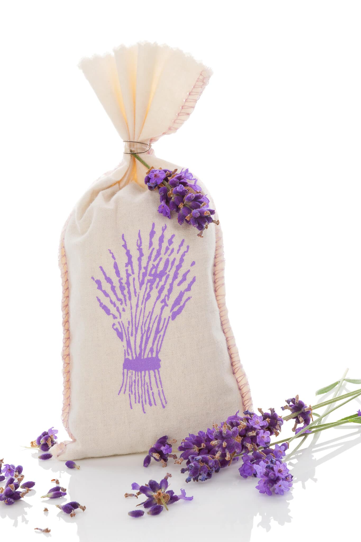 Lavender aromatherapy. Lavender herbs and bag with dry lavender isolated on white background.