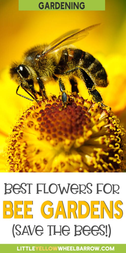 The Best Flowers for Bees To Plant In Your Gardens