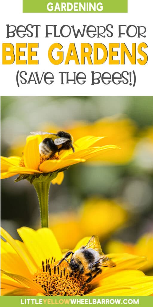 The Best Flowers for Bees To Plant In Your Gardens