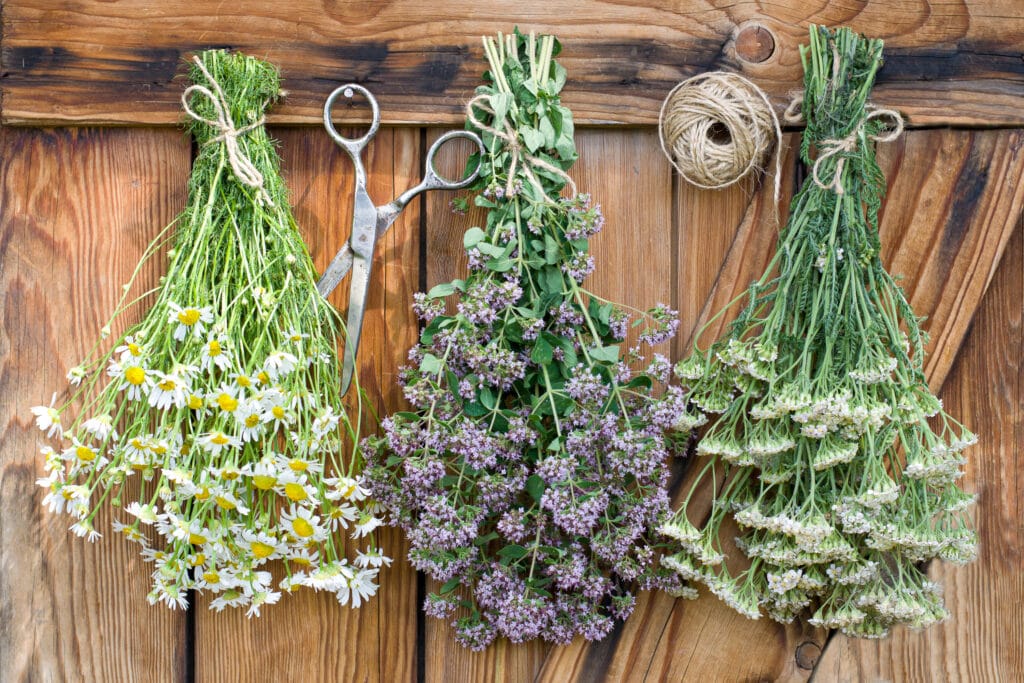 How to Dry Flowers We Tested 5 Different Methods to Find the Best!