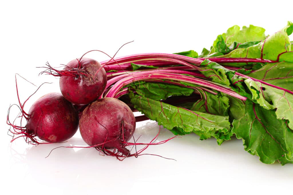 23 Beet Companion Plants For Improved Growth