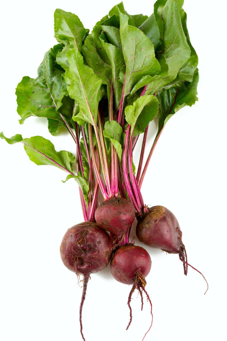 The Beet Companion Plants You Want (and the Three you Don't)