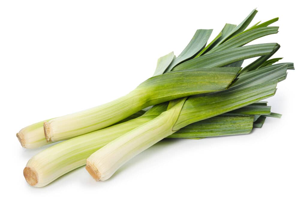 The Best Companion Plants for Leeks