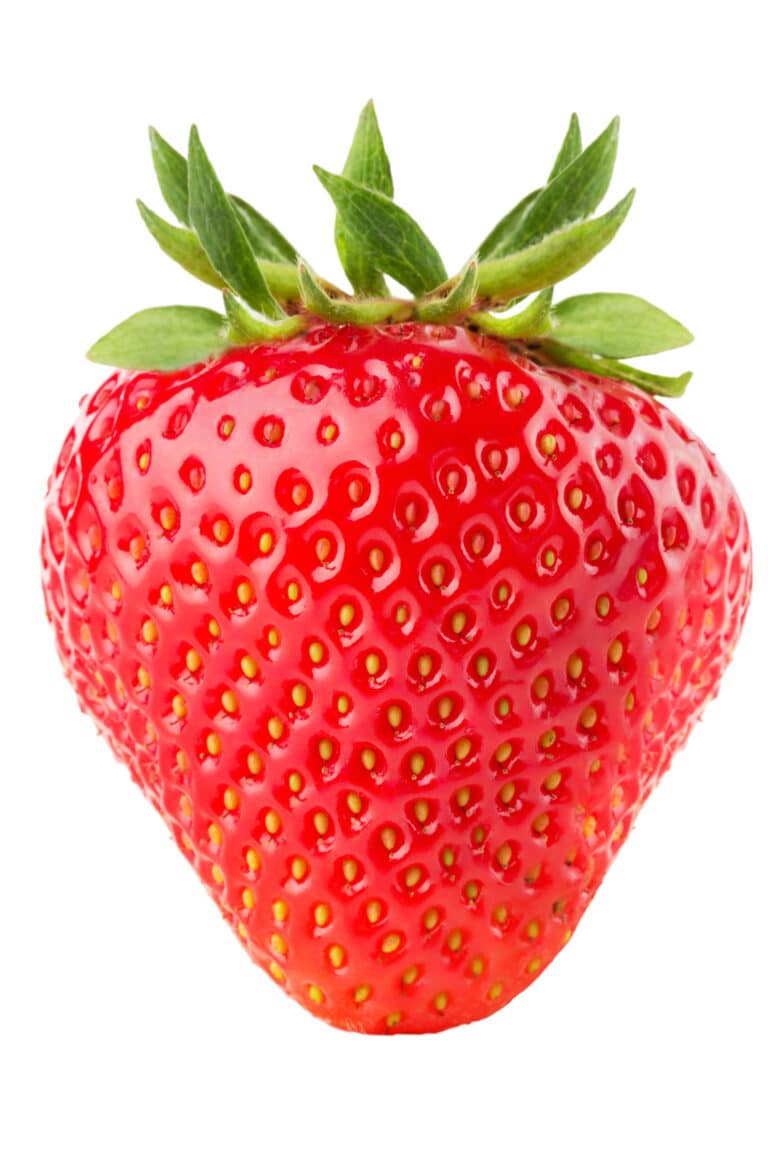 Strawberry Companion Plants For Bigger and Better Berries
