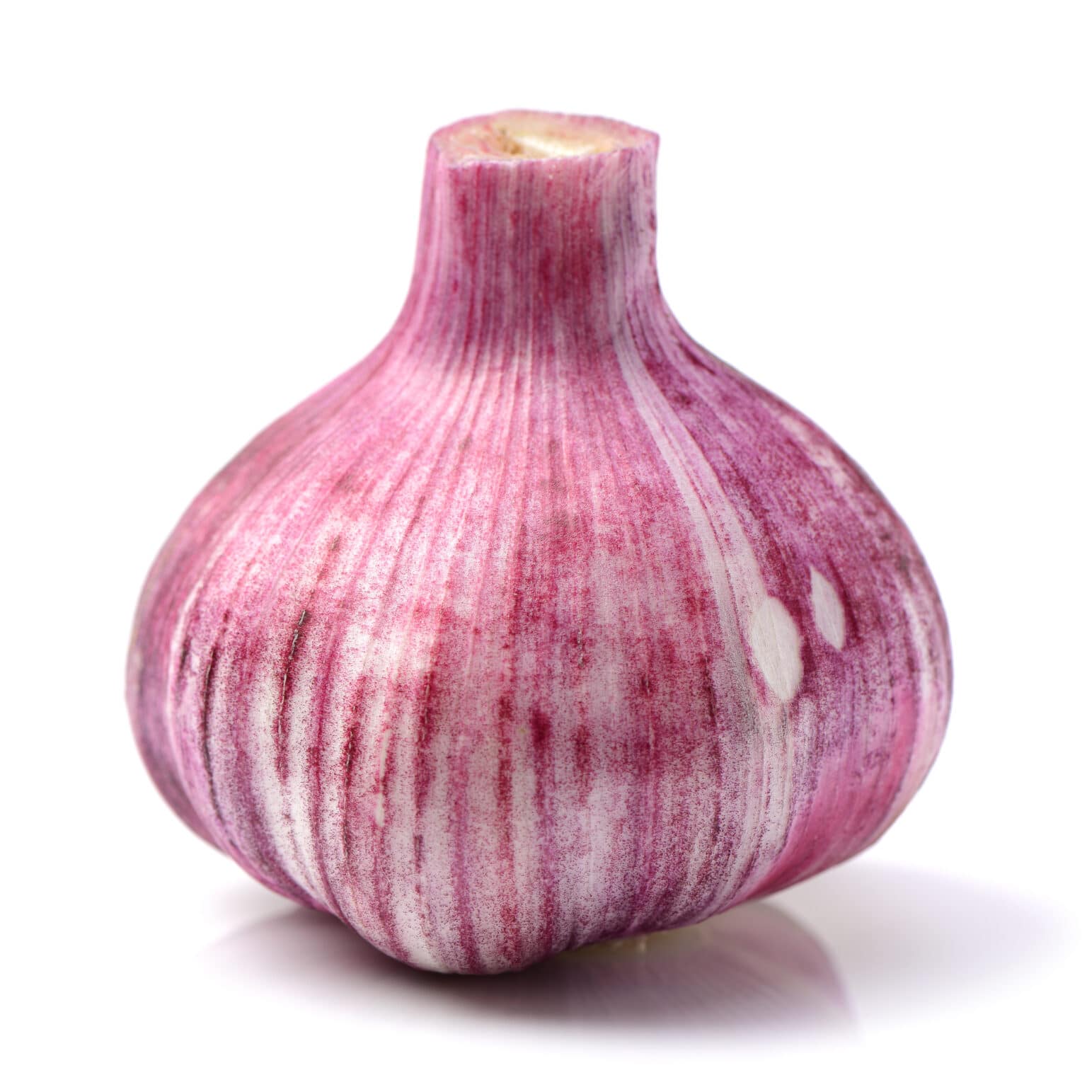 The Best Garlic Companion Plants For Your Garden