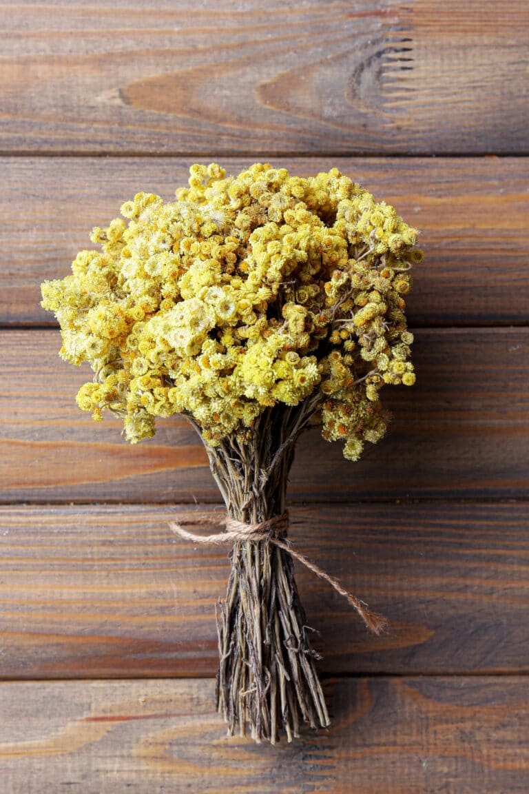 How Long Do Dried Flowers Last?