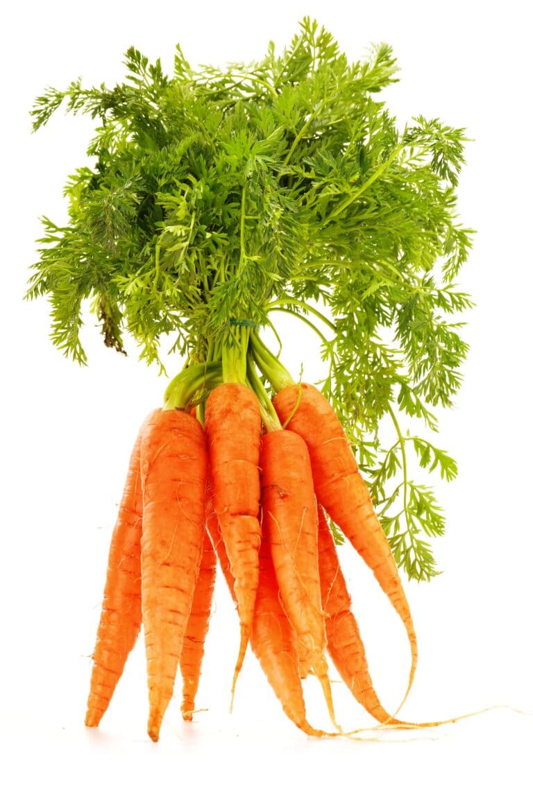 The Best Carrot Companion Plants For Your Garden